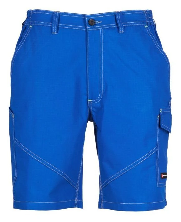 BLEU ROI