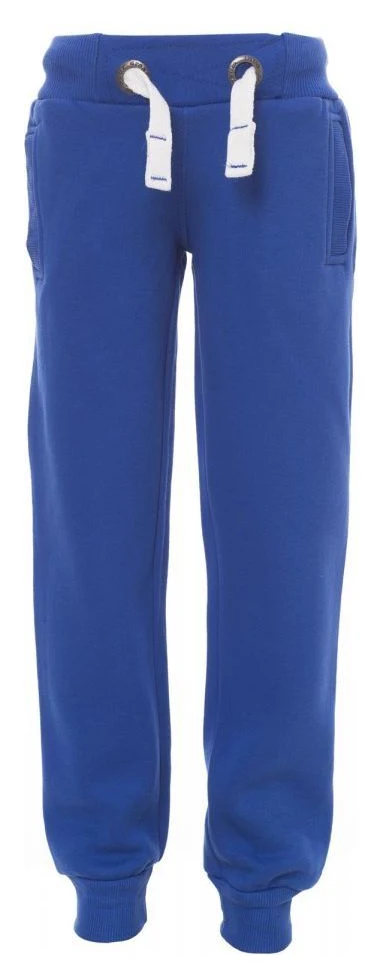 BLEU ROI