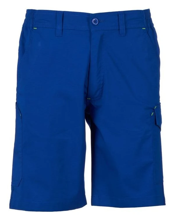 BLEU ROI