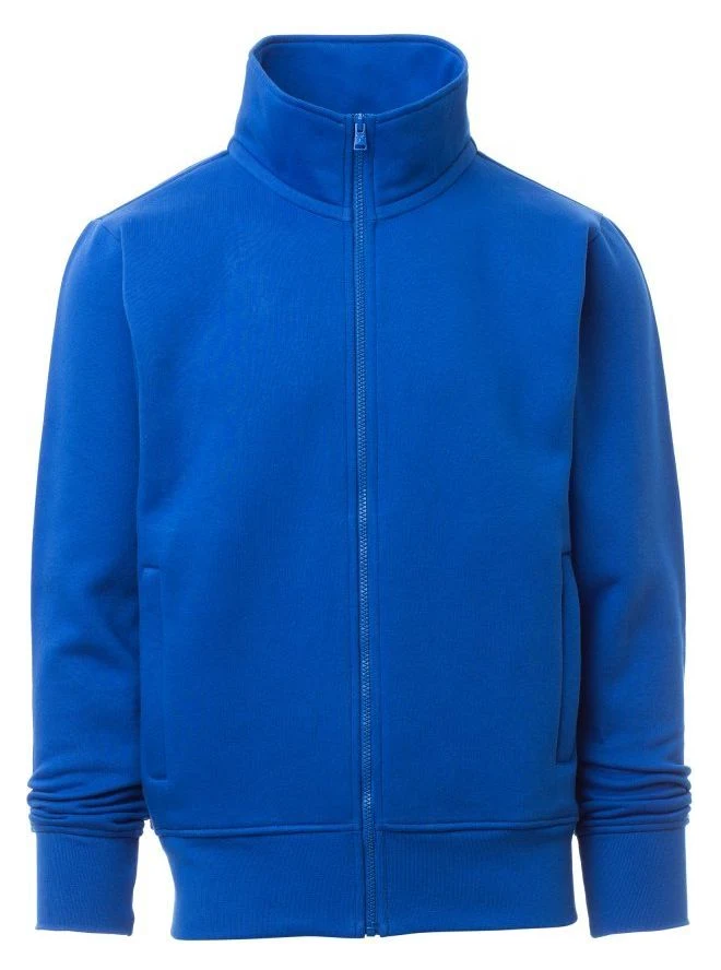 BLEU ROI