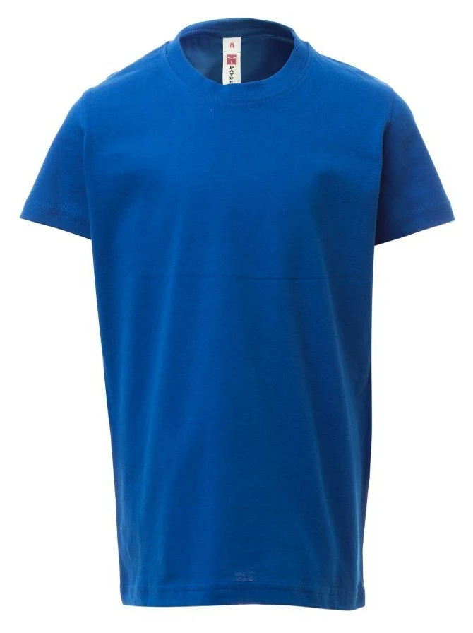 BLEU ROI