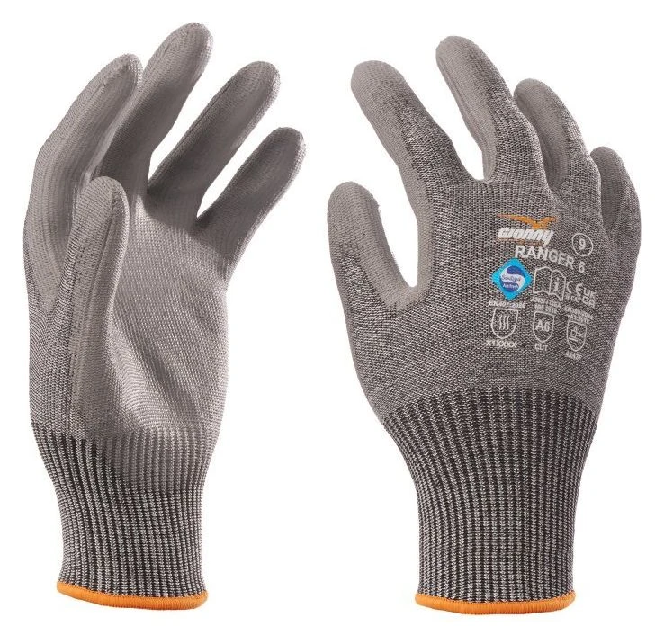 RANGER 6 - GRIS - Devant